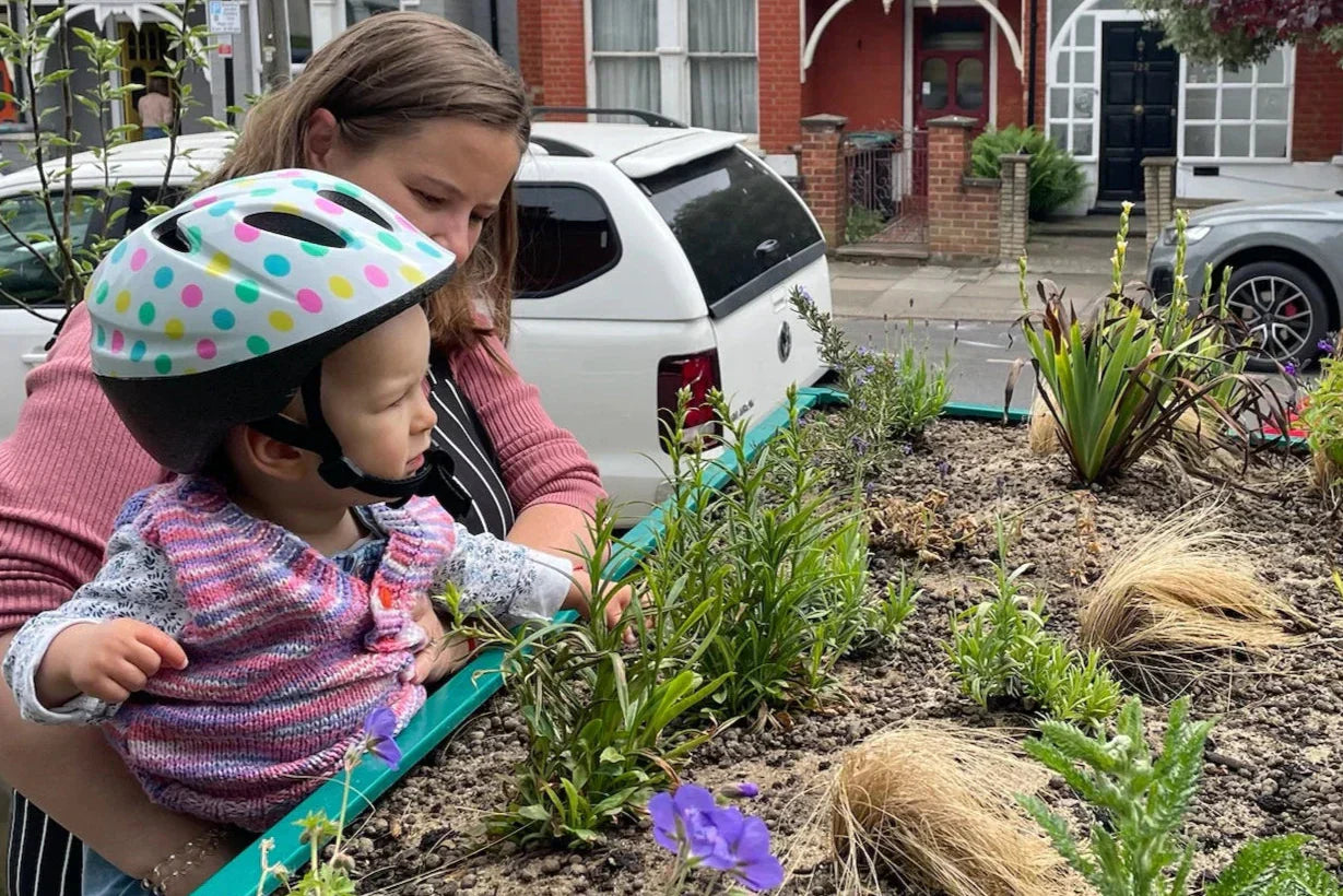 The Planted Roof: Restoring Elegance and Life to the London Front Garden