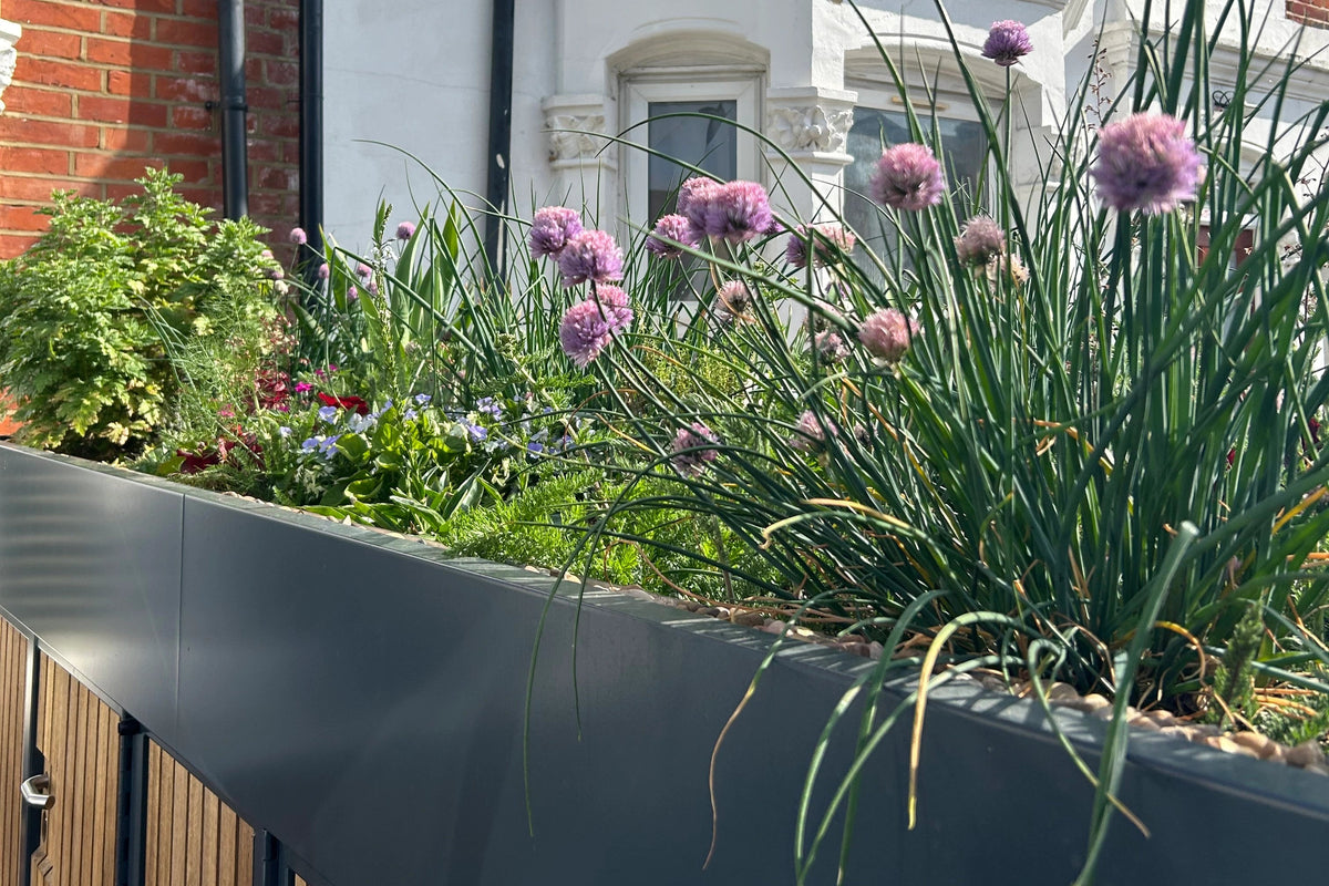 Detail of the Verde Line green roof with rich biodiversity and vibrant seasonal planting