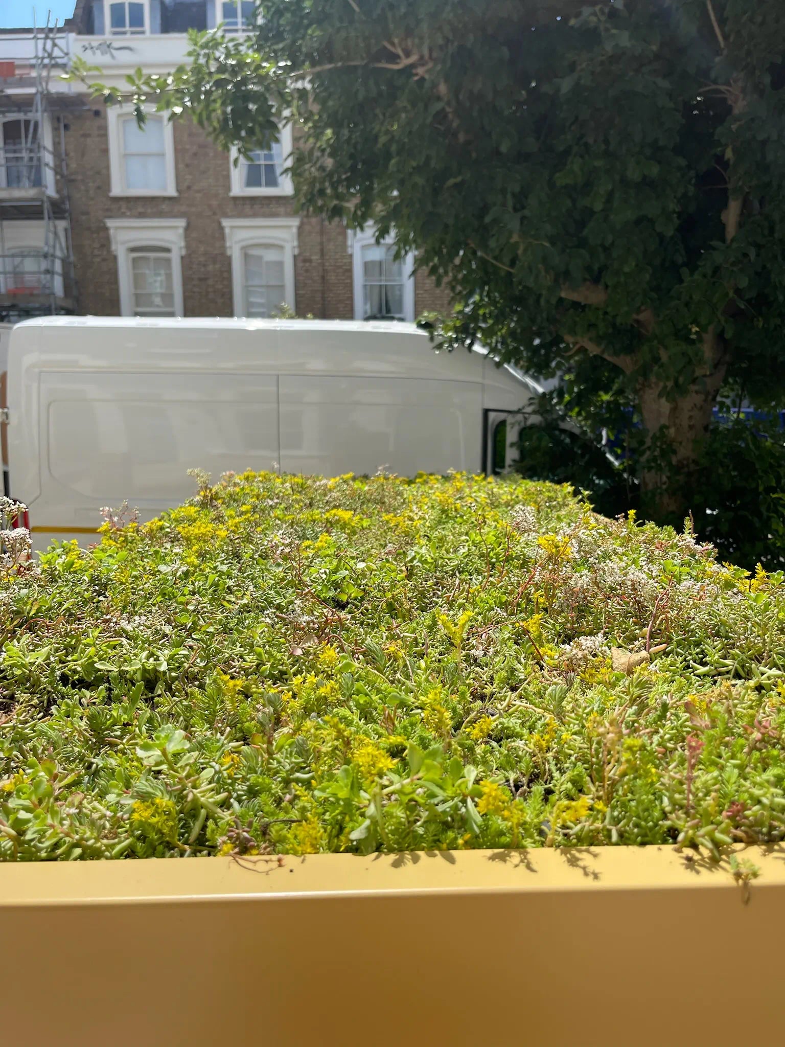 London front garden with bespoke outdoor storage unit and living green roof.
