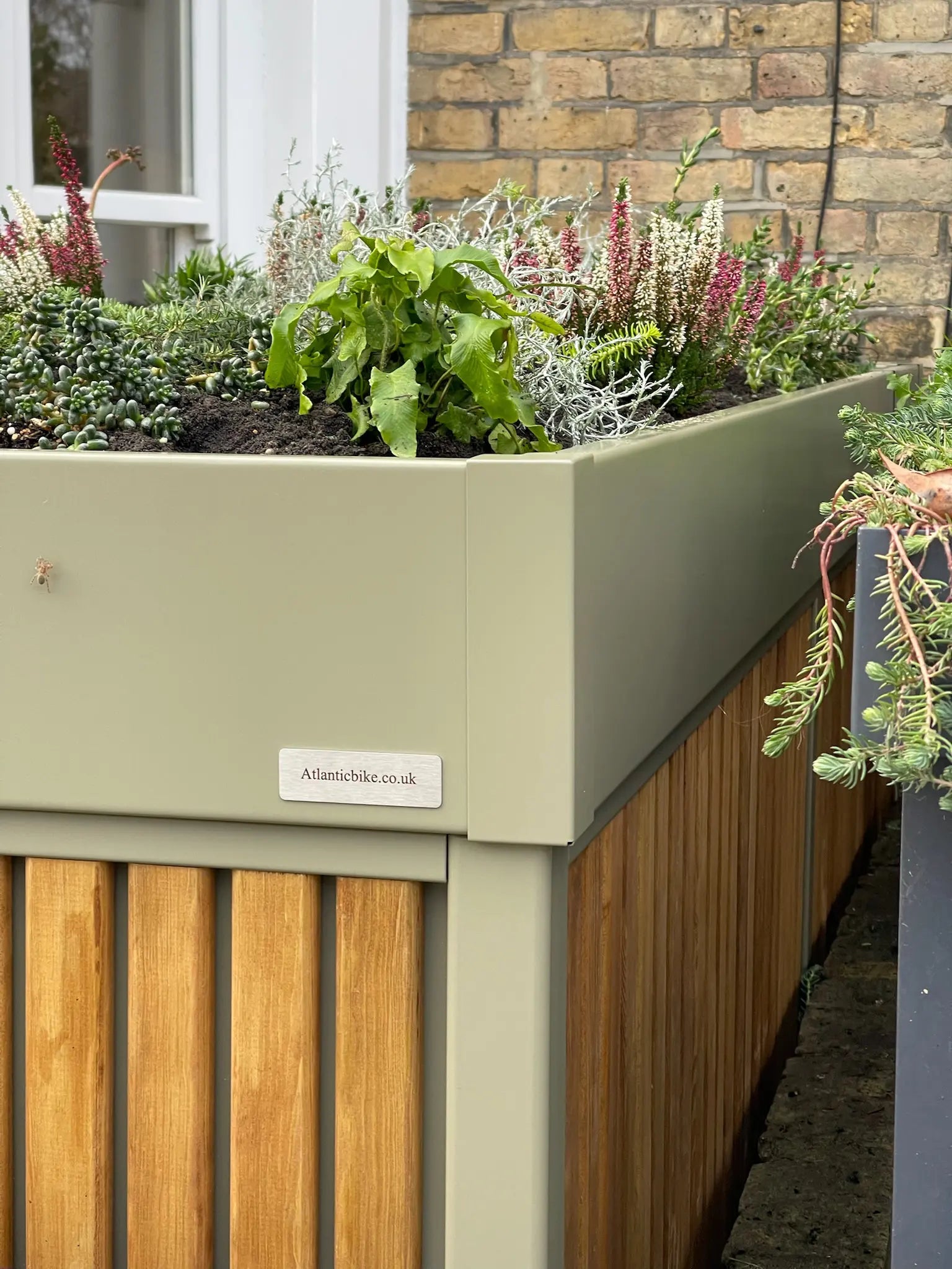 Detail of Atlanticbike store with planting and timber cladding in London front garden