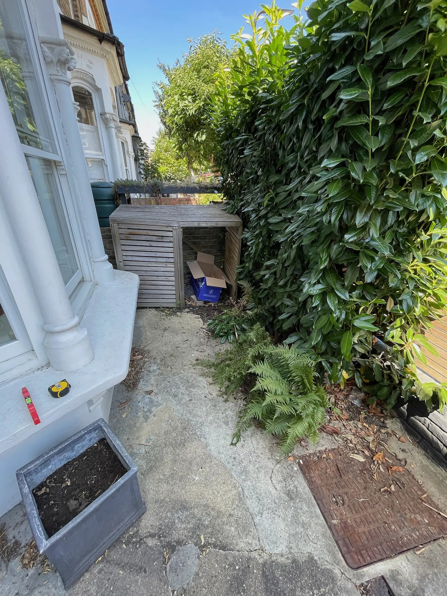 Overgrown London front garden with decaying timber shed and limited space before new side-return bike storage