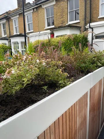 Close-up detail of low-maintenance planted roof on compact front garden bike store.