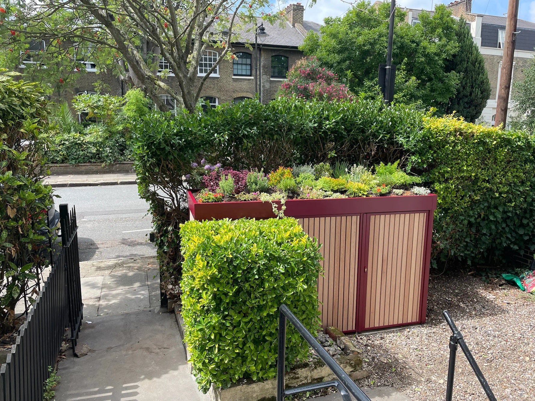 Top-down view of front garden in N1 after installation of bike and bin store with hardwood cladding and biodiverse planted green roof

